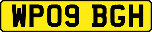 WP09BGH