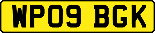 WP09BGK