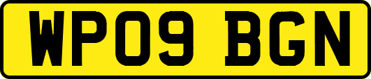WP09BGN