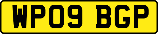 WP09BGP