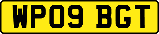 WP09BGT