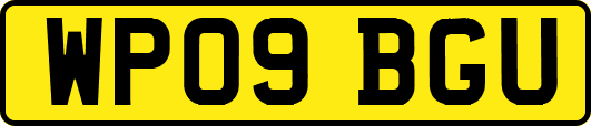 WP09BGU