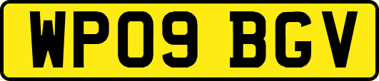 WP09BGV