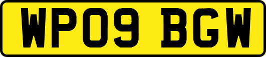 WP09BGW