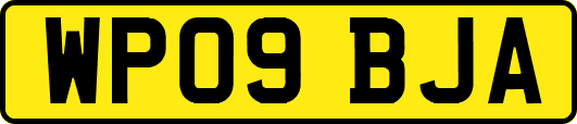 WP09BJA