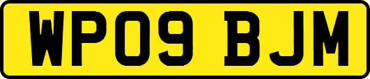 WP09BJM