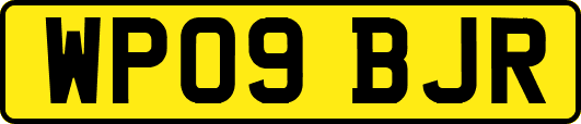 WP09BJR