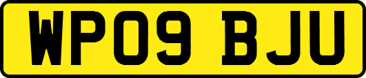 WP09BJU
