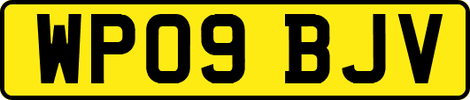 WP09BJV