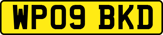 WP09BKD