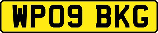 WP09BKG