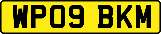 WP09BKM