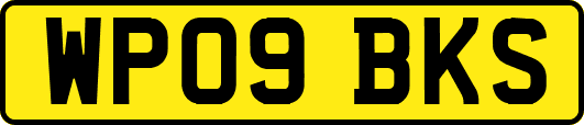WP09BKS