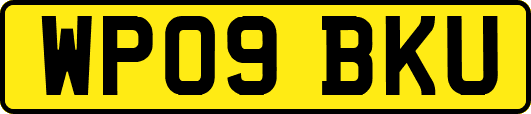 WP09BKU