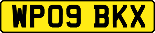 WP09BKX