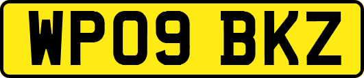 WP09BKZ