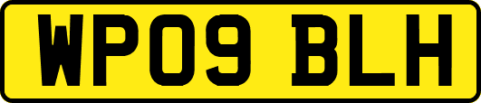 WP09BLH