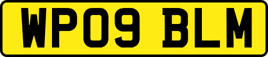 WP09BLM