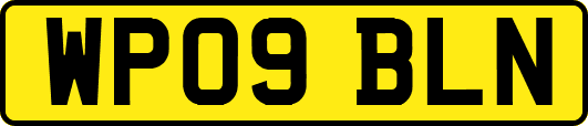 WP09BLN