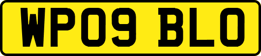 WP09BLO