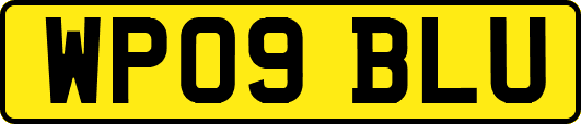 WP09BLU