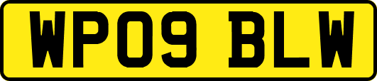 WP09BLW