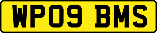 WP09BMS