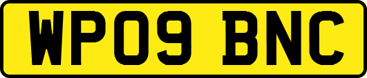 WP09BNC