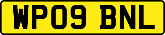 WP09BNL