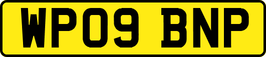 WP09BNP