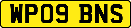 WP09BNS