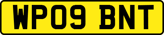 WP09BNT