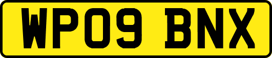 WP09BNX
