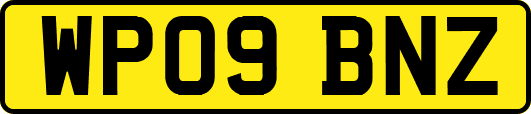 WP09BNZ