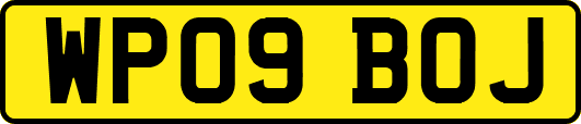 WP09BOJ