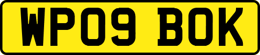 WP09BOK