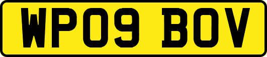 WP09BOV
