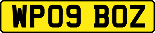 WP09BOZ