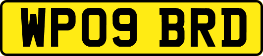 WP09BRD