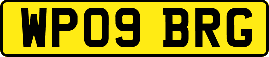 WP09BRG