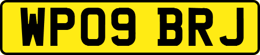 WP09BRJ