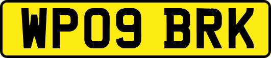 WP09BRK