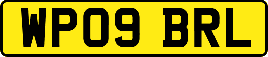 WP09BRL