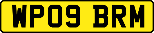 WP09BRM