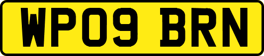 WP09BRN