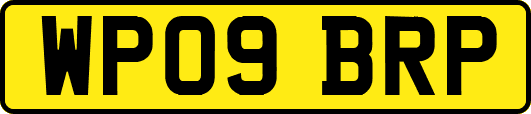 WP09BRP