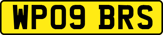 WP09BRS