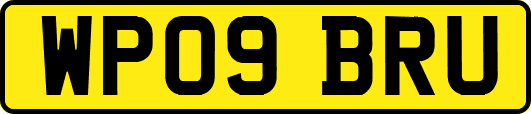 WP09BRU