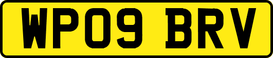 WP09BRV