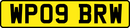 WP09BRW